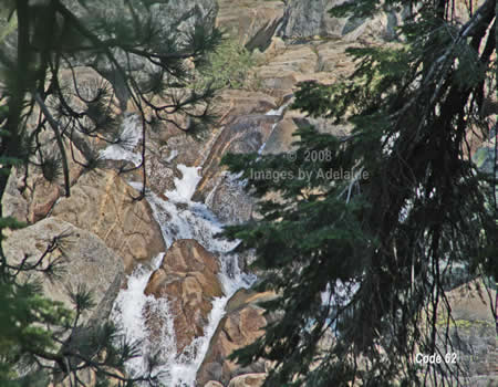 Lily Creek